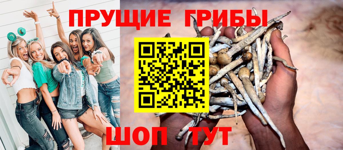Назарово  Галлюциногенные грибы Psilocybe  Вход с VPN 