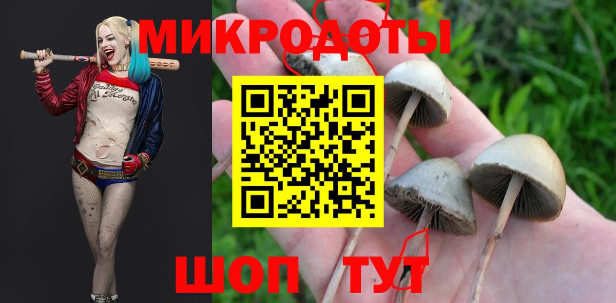 Псилоцибиновые грибы мухоморы Назарово